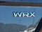 2024 Subaru WRX Premium Manual
